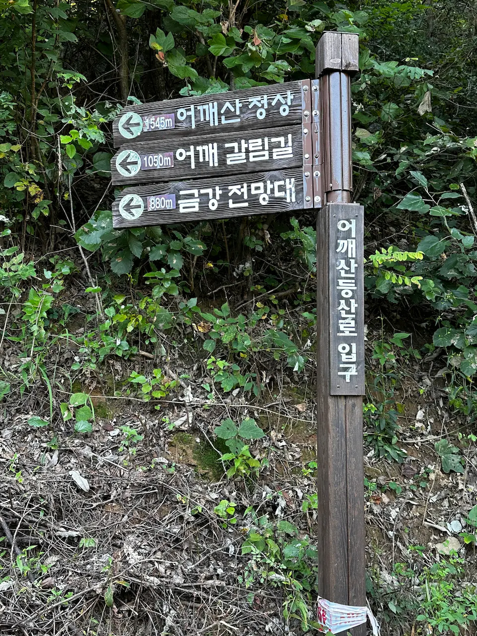 등산로 입구 표지판